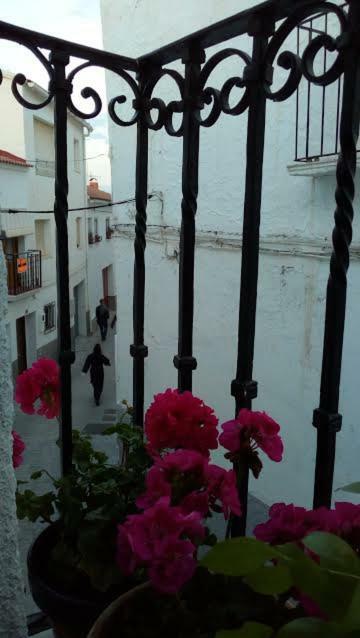 Serón La Casa De La Acequiaゲストハウス エクステリア 写真