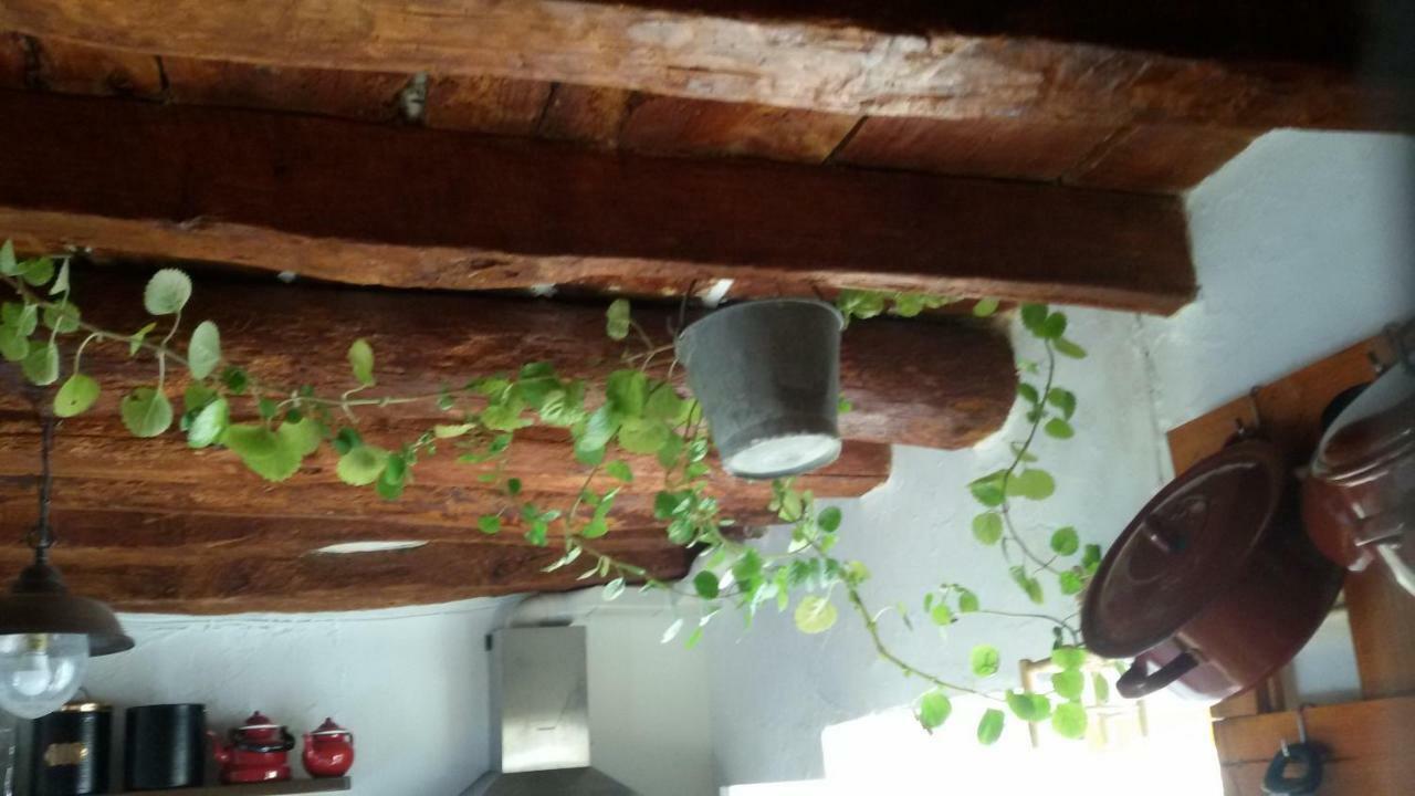 Serón La Casa De La Acequiaゲストハウス エクステリア 写真