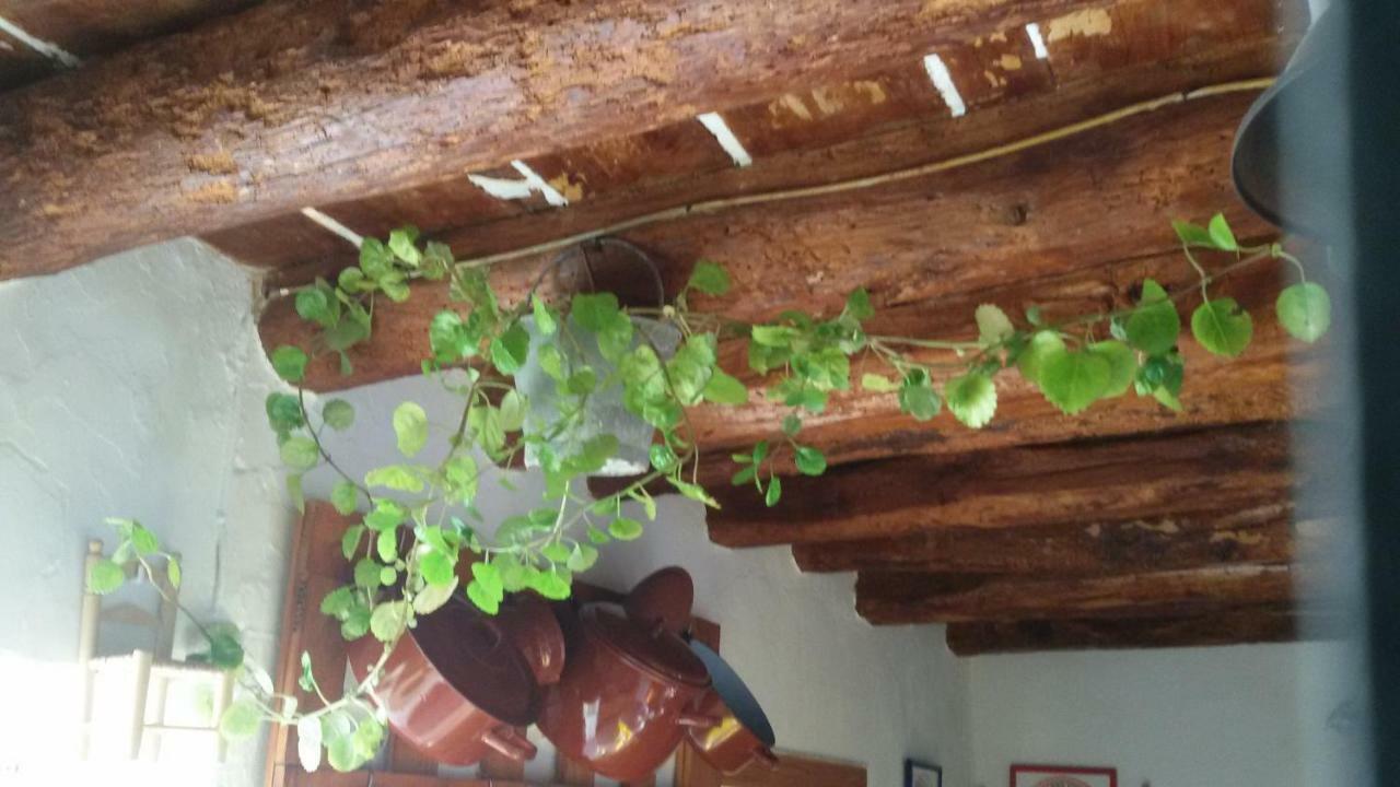 Serón La Casa De La Acequiaゲストハウス エクステリア 写真