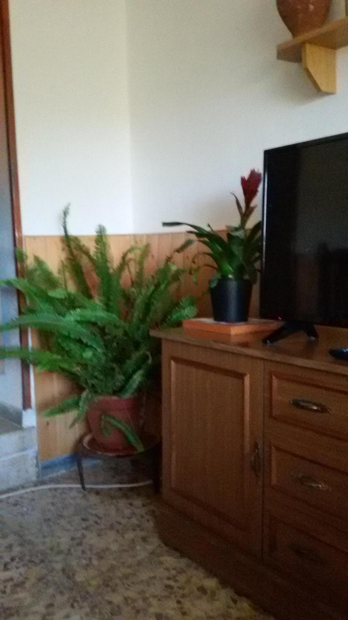 Serón La Casa De La Acequiaゲストハウス エクステリア 写真